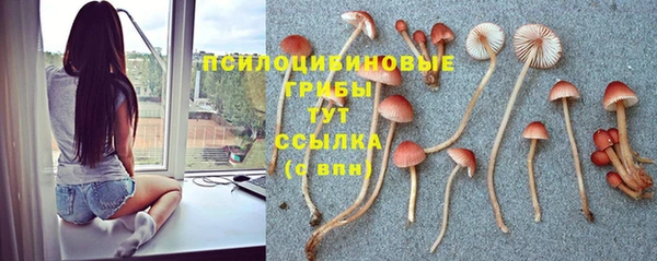 MESCALINE Арсеньев